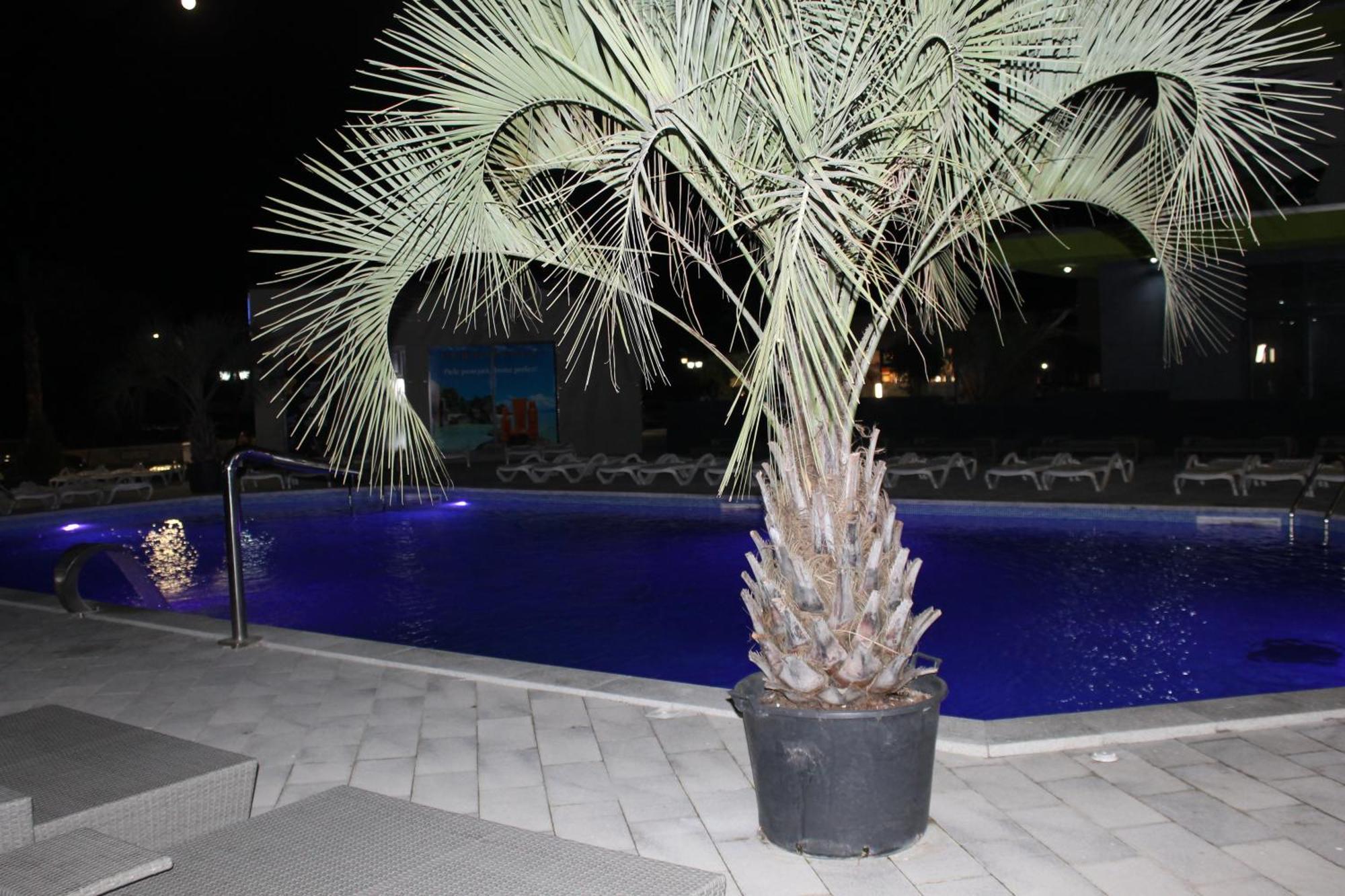 On Beach-Mamaia Residence Navodari Luaran gambar